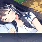 Leaflet Love Story 传单恋爱故事：PC版Galgame浪漫体验
