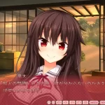 殿堂级喜剧GAL《野良与皇女与流浪猫之心1+2+VFB》终极整合版震撼来袭